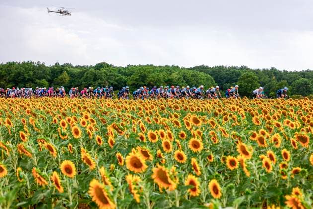Tour de France 2026 Stage 11 NEVERS, FRANCE - JULY 15 : Illustration picture of the peloton during stage 11 of the 113rd edition of Tour de France an UCI World Tour 2.UWT cycling road race stage for Men Elite of 161 km with start in Vichy and finish in Nevers on July 15, 2026 in Nevers, France, 15 07 2026 Nevers France  Copyright: xLucaxBettinix