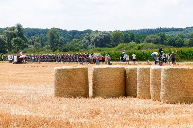 Tour de France 2026 Stage 13 BELFORT, FRANCE - JULY 17 : Illustration picture of the peloton during stage 13 of the 113rd edition of Tour de France an UCI World Tour 2.UWT cycling road race stage for Men Elite of 205 km with start in Dole and finish in Belfort on July 17, 2026 in Belfort, France, 17 07 2026 Belfort France  Copyright: xLucaxBettinix