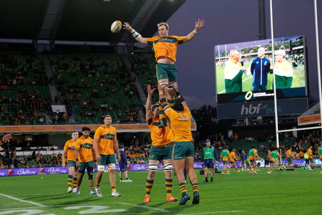 RUGBY AUSTRALIA ITALY, The Wallabies are seen warming up before the Nations Championship Round 3 match between the Australian Wallabies and the Italian Azzurri at HBF Park in Perth, Saturday, July 18, 2026. ( NO ARCHIVING, EDITORIAL USE ONLY PERTH WESTERN AUSTRALIA AUSTRALIA  Copyright: xRICHARDxWAINWRIGHTx 20260718171594555533