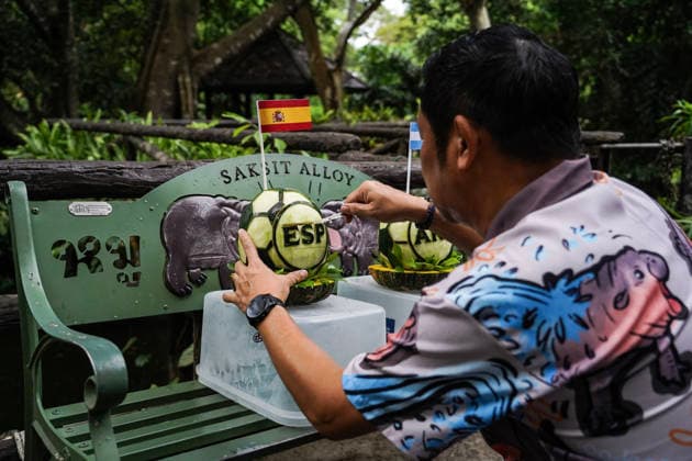 Moo Deng Predicts Winner Of FIFA World Cup, WM, Weltmeisterschaft, Fussball 2026. A zookeeper carves soccer ball-shaped watermelons decorated with Spain s and Argentina s national flags for pygmy hippopotamus Moo Deng to predict the winner of the FIFA World Cup 2026 choosing the Argentina side over Spain during a prediction event at Khao Kheow Open Zoo in Chonburi Province, Thailand. Chonburi Province Chonburi Province Thailand  Copyright: xAnusakxLaowilasx originalFilename:laowilas-notitle260718_nptFm.jpg