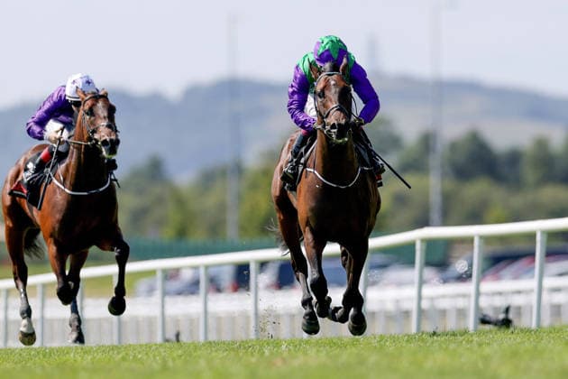 REPRO FREE *PRESS RELEASE NO REPRODUCTION FEE* EDITORIAL USE ONLY Curragh Racing Juddmonte Irish Oaks Weekend, Curragh Racecourse, Kildare 18 7 2026 GAIN Railway Stakes Oisin Murphy onboard Celeron comes home to win Oisin Murphy onboard Celeron comes home to win 18 7 2026  Copyright: xLaszloxGeczox LG_18-07-2026_030941