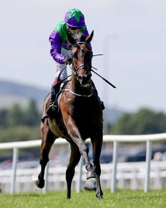 REPRO FREE *PRESS RELEASE NO REPRODUCTION FEE* EDITORIAL USE ONLY Curragh Racing Juddmonte Irish Oaks Weekend, Curragh Racecourse, Kildare 18 7 2026 GAIN Railway Stakes Oisin Murphy onboard Celeron comes home to win Oisin Murphy onboard Celeron comes home to win 18 7 2026  Copyright: xLaszloxGeczox LG_18-07-2026_030956