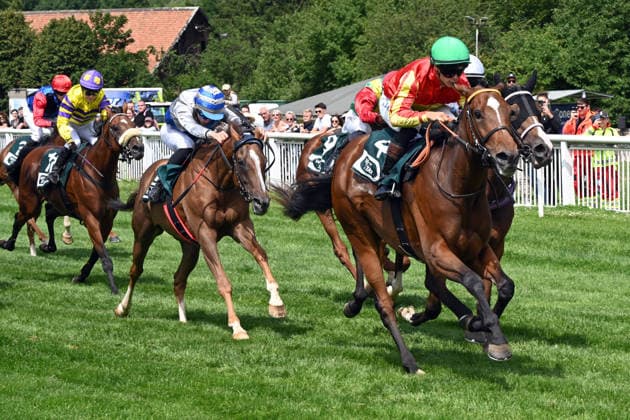 18.07.2026, Bad Harzburg, Niedersachsen, GER - Nauplia mit Thore Hammer-Hansen gewinnt. Galopprennbahn Bad Harzburg, Weisser Stein. (Pferd, Jockey, Nauplia, Hammer-Hansen, Sieg, Ziel, Zielankunft) 260718FS970BAD_HARZBURG.JPG *** July 18, 2026, Bad Harzburg, Lower Saxony, GER Nauplia with Thore Hammer Hansen wins at the Bad Harzburg Racetrack, Weisser Stein Horse, Jockey, Nauplia, Hammer Hansen, Victory, Finish Line, Finish 260718FS970BAD HARZBURG JPG