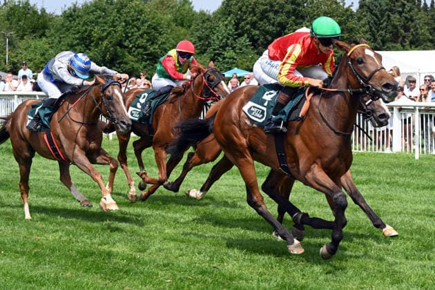 18.07.2026, Bad Harzburg, Niedersachsen, GER - Nauplia mit Thore Hammer-Hansen gewinnt. Galopprennbahn Bad Harzburg, Weisser Stein. (Pferd, Jockey, Nauplia, Hammer-Hansen, Sieg, Ziel, Zielankunft) 260718FS972BAD_HARZBURG.JPG *** July 18, 2026, Bad Harzburg, Lower Saxony, GER Nauplia with Thore Hammer Hansen wins at the Bad Harzburg Racetrack, Weisser Stein Horse, Jockey, Nauplia, Hammer Hansen, Victory, Finish Line, Finish 260718FS972BAD HARZBURG JPG