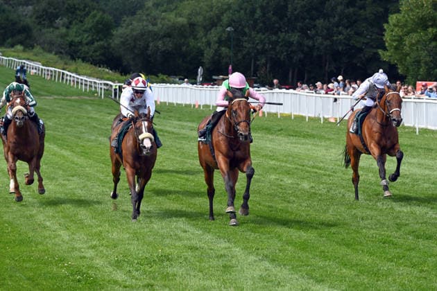 18.07.2026, Bad Harzburg, Niedersachsen, GER - Borna (Zweiter von rechts) mit Thore Hammer-Hansen gewinnt. Galopprennbahn Bad Harzburg, Weisser Stein. (Pferd, Jockey, Borna, Hammer-Hansen, Sieg, Ziel, Zielankunft) 260718FS977BAD_HARZBURG.JPG *** July 18, 2026, Bad Harzburg, Lower Saxony, GER Borna (second from the right) with Thore Hammer Hansen wins at the Bad Harzburg Racetrack, Weisser Stein Horse, Jockey, Borna, Hammer Hansen, Victory, Finish, Finish Line 260718FS977BAD HARZBURG JPG