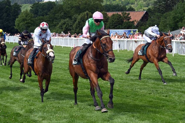 Sport Bilder des Tages 18.07.2026, Bad Harzburg, Niedersachsen, GER - Borna mit Thore Hammer-Hansen gewinnt. Galopprennbahn Bad Harzburg, Weisser Stein. (Pferd, Jockey, Borna, Hammer-Hansen, Sieg, Ziel, Zielankunft) 260718FS978BAD_HARZBURG.JPG *** July 18, 2026, Bad Harzburg, Lower Saxony, GER Borna, ridden by Thore Hammer Hansen, wins at the Bad Harzburg Racetrack, Weisser Stein Horse, Jockey, Borna, Hammer Hansen, Victory, Finish Line, Finish 260718FS978BAD HARZBURG JPG