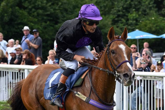 18.07.2026, Bad Harzburg, Niedersachsen, GER - Cabot Cliffs mit Hakim Tabet gewinnt. Galopprennbahn Bad Harzburg, Weisser Stein. (Pferd, Jockey, Cabot Cliffs, Tabet, Sieg, Ziel, Zielankunft) 260718FS987BAD_HARZBURG.JPG *** July 18, 2026, Bad Harzburg, Lower Saxony, GER Cabot Cliffs, ridden by Hakim Tabet, wins at the Bad Harzburg Racetrack, Weisser Stein Horse, Jockey, Cabot Cliffs, Tabet, Victory, Finish, Finish Line 260718FS987BAD HARZBURG JPG