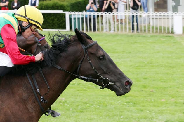 19.07.2026, Hoppegarten, Brandenburg, GER - Nastaria mit Jozef Bojko gewinnt das Fuerstenberg-Rennen. Galopprennbahn Hoppegarten. () 260719D704HOPPEGARTEN.JPG *** July 19, 2026, Hoppegarten, Brandenburg, GER: Nastaria, ridden by Jozef Bojko, wins the Fuerstenberg Race at Hoppegarten Racetrack 260719D704HOPPEGARTEN JPG