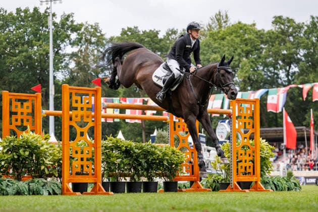 RIESENBECK - Longines Global Champions Tour of Riesenbeck 2026, RIESENBECK - Longines Global Champions Tour of Riesenbeck 2026 EHNING Marcus (GER), Coolio 42 Longines GCT Grand Prix of Riesenbeck CSI5* - Int. jumping competition against the clock with jump-off (1.60 m) Riesenbeck, Riesenbeck International 19. July 2026 - *** RIESENBECK Longines Global Champions Tour of Riesenbeck 2026, RIESENBECK Longines Global Champions Tour of Riesenbeck 2026 EHNING Marcus GER, Coolio 42 Longines GCT Grand Prix of Riesenbeck CSI5* International show jumping competition against the clock with a jump-off, 160 m, Riesenbeck, Riesenbeck International, July 19, 2026