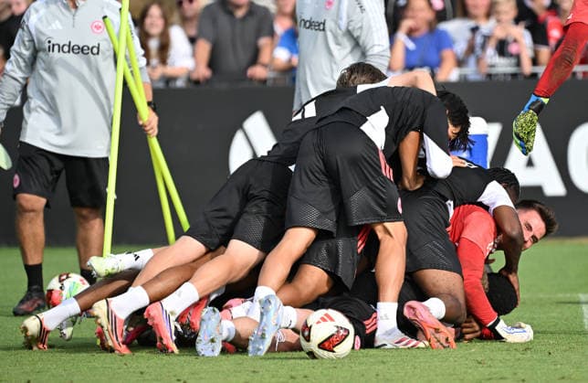 Football, Bundesliga 1, Eintracht Frankfurt, Training
