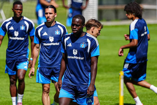Football, Bundesliga 1, Hamburger SV, Training