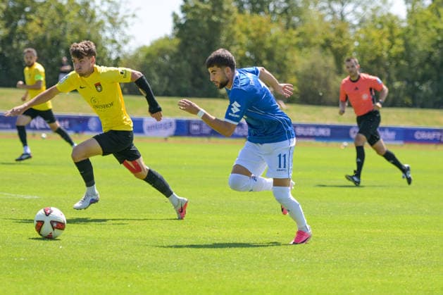 Football, friendly match, SV Darmstadt 98 v SG Sonnenhof Großaspach