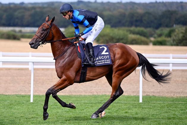 25.07.2026, Ascot, Windsor, GBR - Goliath with Christophe Soumillon. Ascot racecourse. (Pferd, Jockey, Goliath, Soumillon, Aufgalopp) 260725C952ASCOT.JPG *** July 25, 2026, Ascot, Windsor, GBR Goliath with Christophe Soumillon Ascot Racecourse Horse, Jockey, Goliath, Soumillon, Warm-up 260725C952ASCOT JPG