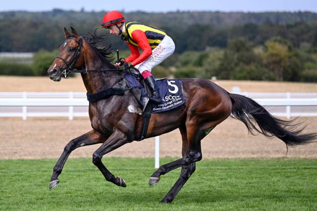 25.07.2026, Ascot, Windsor, GBR - Wurttemberg with Oisin Murphy. Ascot racecourse. (Pferd, Jockey, Wurttemberg, Murphy, Aufgalopp) 260725C953ASCOT.JPG *** July 25, 2026, Ascot, Windsor, GBR: Württemberg with Oisin Murphy at Ascot Racecourse—Horse, Jockey, Württemberg, Murphy, Warm-up 260725C953ASCOT JPG