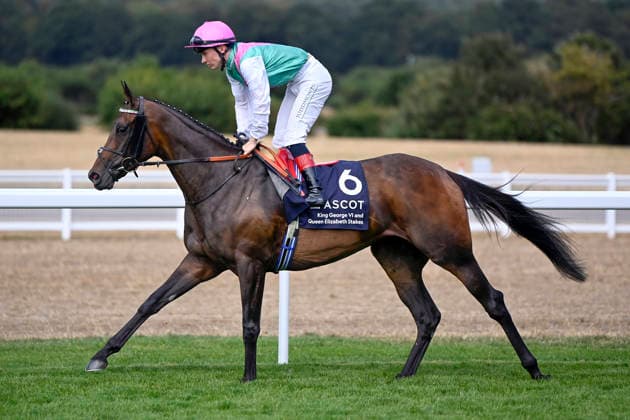 25.07.2026, Ascot, Windsor, GBR - Kalpana with Colin Keane. Ascot racecourse. (Pferd, Jockey, Kalpana, Keane, Aufgalopp) 260725C955ASCOT.JPG *** July 25, 2026, Ascot, Windsor, GBR Kalpana with Colin Keane at Ascot Racecourse: Horse, Jockey, Kalpana, Keane, Warm-up 260725C955ASCOT JPG