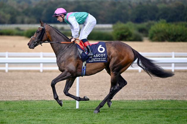 25.07.2026, Ascot, Windsor, GBR - Kalpana with Colin Keane. Ascot racecourse. (Pferd, Jockey, Kalpana, Keane, Aufgalopp) 260725C956ASCOT.JPG *** July 25, 2026, Ascot, Windsor, GBR Kalpana with Colin Keane at Ascot Racecourse: Horse, Jockey, Kalpana, Keane, Warm-up 260725C956ASCOT JPG