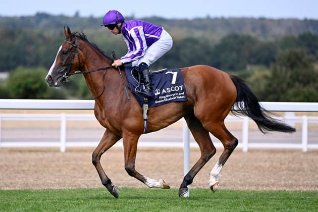 25.07.2026, Ascot, Windsor, GBR - Minnie Hauk with Wayne Lordan. Ascot racecourse. (Pferd, Jockey, Minnie Hauk, Lordan, Aufgalopp) 260725C957ASCOT.JPG *** July 25, 2026, Ascot, Windsor, GBR Minnie Hauk with Wayne Lordan Ascot Racecourse Horse, Jockey, Minnie Hauk, Lordan, Warm-up 260725C957ASCOT JPG