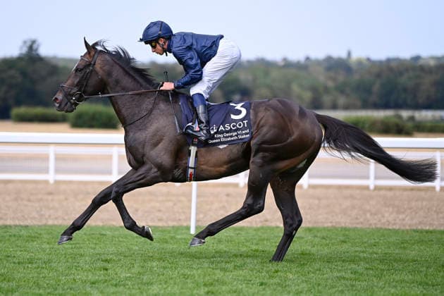 25.07.2026, Ascot, Windsor, GBR - Lambourn with William Buick. Ascot racecourse. (Pferd, Jockey, Lambourn, Buick, Aufgalopp) 260725C959ASCOT.JPG *** July 25, 2026, Ascot, Windsor, GBR Lambourn with William Buick at Ascot Racecourse Horse, Jockey, Lambourn, Buick, Warm-up 260725C959ASCOT JPG