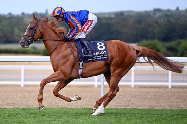25.07.2026, Ascot, Windsor, GBR - Action with Sean Levey. Ascot racecourse. (Pferd, Jockey, Action, Levey, Aufgalopp) 260725C962ASCOT.JPG *** July 25, 2026, Ascot, Windsor, GBR Action with Sean Levey at Ascot Racecourse Horse, Jockey, Action, Levey, Warm-up 260725C962ASCOT JPG