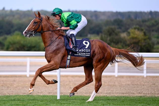 25.07.2026, Ascot, Windsor, GBR - Benvenuto Cellini with Ryan Moore. Ascot racecourse. (Pferd, Jockey, Benventuto Cellini, Moore, Aufgalopp) 260725C963ASCOT.JPG *** July 25, 2026, Ascot, Windsor, GBR Benvenuto Cellini with Ryan Moore, Ascot Racecourse, Horse, Jockey, Benvenuto Cellini, Moore, Warm-up 260725C963ASCOT JPG
