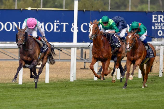 25.07.2026, Ascot, Windsor, GBR - Kalpana with Colin Keane up wins the King George and Queen Elizabeth Stakes. Ascot racecourse. (Pferd, Jockey, Kalpana, Keane, Sieg, Ziel, Zielankunft) 260725C967ASCOT.JPG *** July 25, 2026, Ascot, Windsor, GBR: Kalpana, ridden by Colin Keane, wins the King George and Queen Elizabeth Stakes at Ascot Racecourse. Horse, Jockey, Kalpana, Keane, Victory, Finish, Finish Line 260725C967ASCOT JPG