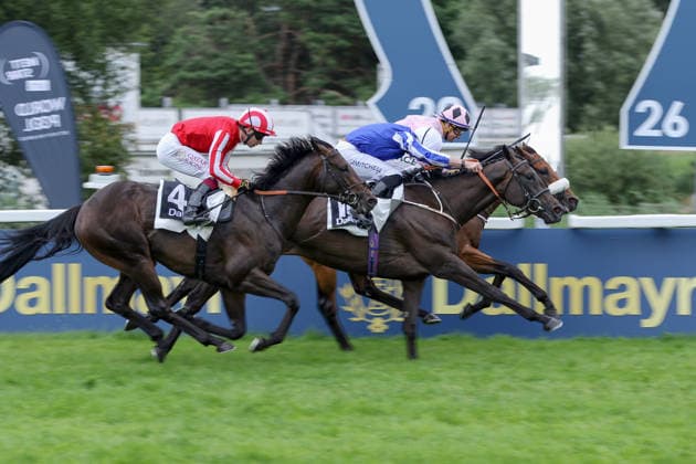 26.07.2026, Muenchen, Bayern, GER - Hotazhell (rechts) mit Shane Foley gewinnt den 50. Grossen Dallmayr-Preis. Galopprennbahn Muenchen-Riem. (Pferd, Jockey, Hotazhell, Foley, Sieg, Ziel, Zielankunft) 260726WB990MUENCHEN.JPG *** July 26, 2026, Munich, Bavaria, GER Hotazhell (right) with Shane Foley wins the 50th Grand Dallmayr Prize at the Munich-Riem Racetrack Horse, jockey, Hotazhell, Foley, victory, finish line, finish 260726WB990MUENCHEN JPG