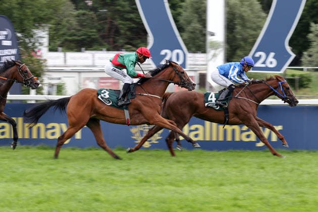 26.07.2026, Muenchen, Bayern, GER - Bint New Bay mit Per-Anders Graberg gewinnt. Galopprennbahn Muenchen-Riem. (Pferd, Jockey, Bint New Bay, Graberg, Sieg, Ziel, Zielankunft) 260726WB980MUENCHEN.JPG *** July 26, 2026, Munich, Bavaria, GER: Bint New Bay, ridden by Per Anders Graberg, wins at the Munich-Riem Racetrack. Horse, jockey, Bint New Bay, Graberg, victory, finish line, finish 260726WB980MUENCHEN JPG