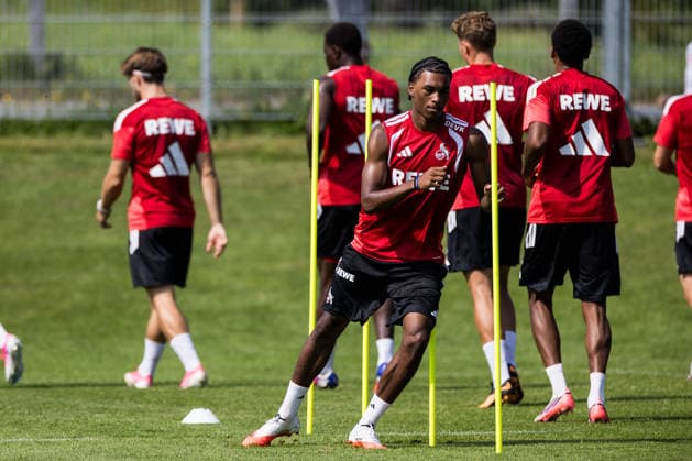 Football, Bundesliga 1, 1. FC Köln, Training
