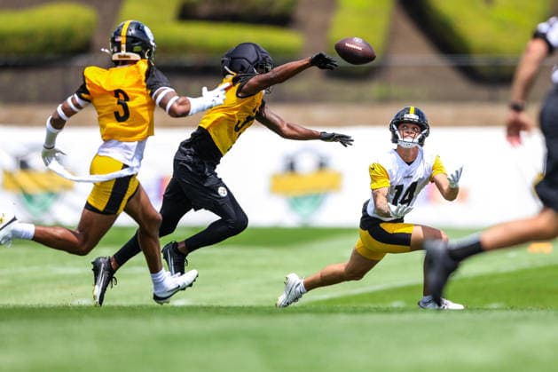American football, NFL, Pittsburgh Steelers, training camp
