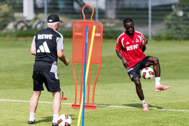 Football, 1. FC Köln, training camp