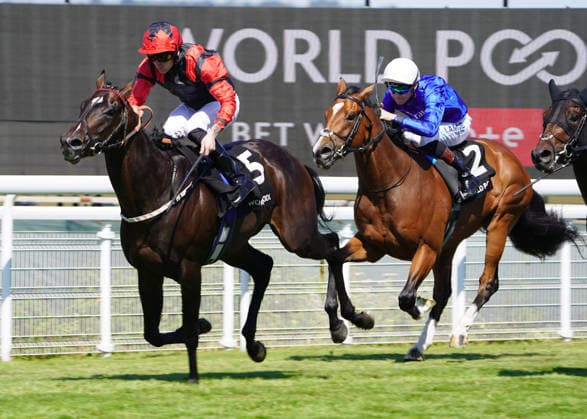 Horse Racing - 2026 Flat Season - Qatar Goodwood Festival ˜Glorious Goodwood™ - Day Four ˜King George Day - Goodwood Racecourse - Friday 31st July 2026 Race Two, 14:25 The HKJC World Pool Thoroughbred Stakes (group 3) Winner, Clifford Lee on Shayem COLORSPORT ANDREW COWIE 