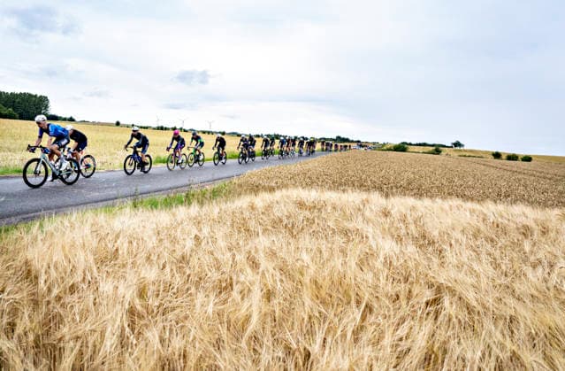 PostNord Denmark Tour - Stage 3 The peloton passes a cornfield at Ravning during stage 3 of the PostNord Denmark Tour, Friday, July 31, 2026. The stage is 202.9 kilometers long and runs from Fredericia to Vejle. , Vejle Denmark *** PostNord Denmark Tour Stage 3: The peloton passes a cornfield at Ravning during Stage 3 of the PostNord Denmark Tour on Friday, July 31, 2026. The stage is 202.9 kilometers long and runs from Fredericia to Vejle, Vejle, Denmark.  Copyright: HenningxBagger HenningxBaggerx spdk20260731-155011-L
