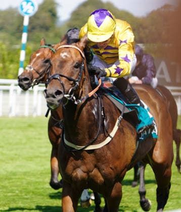Horse Racing - 2026 Flat Season - Qatar Goodwood Festival ˜Glorious Goodwood™ - Day Four ˜King George Day - Goodwood Racecourse - Friday 31st July 2026 Race four, 15:35 The Kings George Qatar Stakes Winner Paul Mulrennan on American Affair COLORSPORT ANDREW COWIE COLORSPORT ANDREW COWIE 