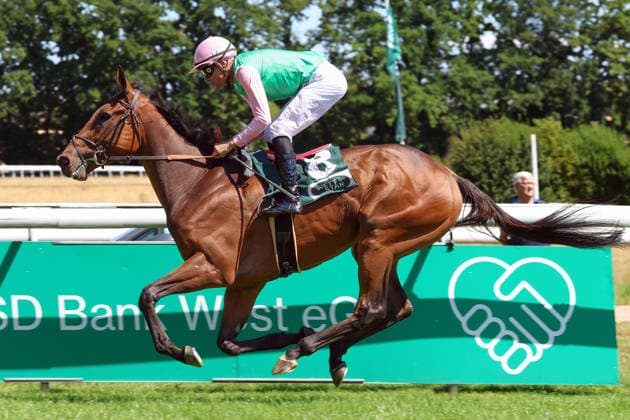 Equestrian sports, horse racing, race day in Cologne-Weidenpesch