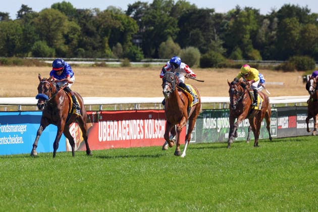 01.08.2026, Koeln, Nordrhein-Westfalen, GER - Dimitri mit Thore Hammer-Hansen gewinnt das BBAG-Auktionsrennen. Galopprennbahn Koeln-Weidenpesch. (Pferd, Jockey, Dimitri, Hammer-Hansen, Sieg, Ziel, Zielankunft) 260801S993KOELN.JPG *** August 1, 2026, Cologne, North Rhine-Westphalia, GER Dimitri with Thore Hammer Hansen wins the BBAG Auction Race at the Cologne Weidenpesch Racetrack Horse, Jockey, Dimitri, Hammer Hansen, Victory, Finish Line, Finish 260801S993KOELN JPG