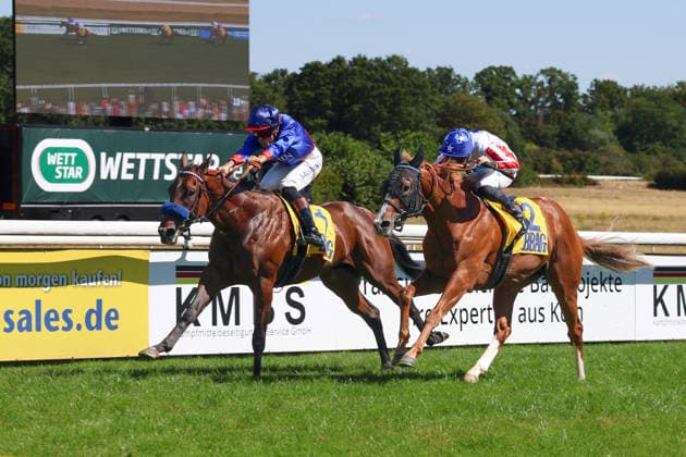 01.08.2026, Koeln, Nordrhein-Westfalen, GER - Dimitri mit Thore Hammer-Hansen gewinnt das BBAG-Auktionsrennen. Galopprennbahn Koeln-Weidenpesch. (Pferd, Jockey, Dimitri, Hammer-Hansen, Sieg, Ziel, Zielankunft) 260801S995KOELN.JPG *** August 1, 2026, Cologne, North Rhine-Westphalia, GER Dimitri with Thore Hammer Hansen wins the BBAG Auction Race at the Cologne Weidenpesch Racetrack Horse, jockey, Dimitri, Hammer Hansen, victory, finish line, finish 260801S995KOELN JPG