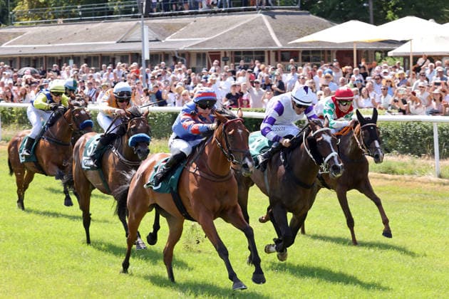 02.08.2026, Dresden, Sachsen, GER - Ocean Diamond mit Marian Betl gewinnt. Galopprennbahn Dresden-Seidnitz. () 260802D502DRESDEN.JPG *** August 2, 2026, Dresden, Saxony, GER Ocean Diamond, ridden by Marian Betl, wins at the Dresden Seidnitz Racetrack 260802D502DRESDEN JPG