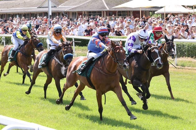 Equestrian sports, horse racing day in Dresden-Seidnitz