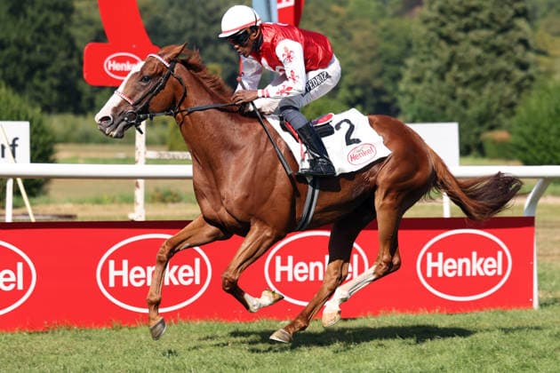 02.08.2026, Duesseldorf, Nordrhein-Westfalen, GER - Sommersby mit Eduardo Pedroza gewinnt den Fritz Henkel-Preis. Galopprennbahn Duesseldorf-Grafenberg. (Pferd, Jockey, Sommersby, Pedroza, Sieg, Ziel, Zielankunft) 260802SG987DUESSELDORF.JPG *** August 2, 2026, Düsseldorf, North Rhine-Westphalia, GER Sommersby, ridden by Eduardo Pedroza, wins the Fritz Henkel Prize at the Düsseldorf Grafenberg Racetrack Horse, jockey, Sommersby, Pedroza, victory, finish line, finish 260802SG987DUESSELDORF JPG