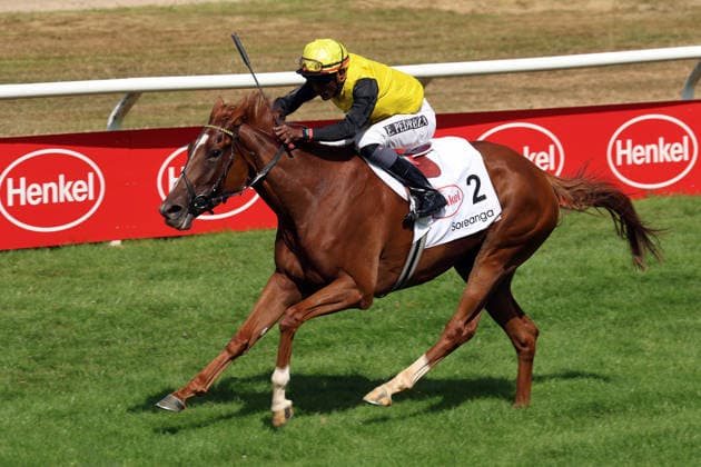 02.08.2026, Duesseldorf, Nordrhein-Westfalen, GER - Soreanga mit Eduardo Pedroza gewinnt den Henkel 168. Preis der Diana. Galopprennbahn Duesseldorf-Grafenberg. (Pferd, Jockey, Soreanga, Pedroza, Sieg, Ziel, Zielankunft) 260802S788DUESSELDORF.JPG *** August 2, 2026, Düsseldorf, North Rhine-Westphalia, GER: Soreanga, ridden by Eduardo Pedroza, wins the Henkel 168 Preis der Diana at the Düsseldorf-Grafenberg Racetrack. Horse, jockey, Soreanga, Pedroza, Victory, Finish, Finish Line 260802S788DUESSELDORF JPG