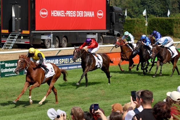 02.08.2026, Duesseldorf, Nordrhein-Westfalen, GER - Soreanga mit Eduardo Pedroza gewinnt den Henkel 168. Preis der Diana. Galopprennbahn Duesseldorf-Grafenberg. (Pferd, Jockey, Soreanga, Pedroza, Sieg, Ziel, Zielankunft) 260802S786DUESSELDORF.JPG *** August 2, 2026, Düsseldorf, North Rhine-Westphalia, GER: Soreanga, ridden by Eduardo Pedroza, wins the Henkel 168 Preis der Diana at the Düsseldorf-Grafenberg Racetrack. Horse, jockey, Soreanga, Pedroza, Victory, Finish, Finish Line 260802S786DUESSELDORF JPG