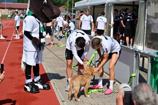 03.08.2026; Rottach-Egern; Fussball, Herren, Saison 2026 2027, Trainingslager Borussia Moenchengladbach v. li. Maskottchen Juenter mit Joe Scally (Gladbach) und Robin Hack (Gladbach) sowie einem jungen Welpen DFL regulations prohibit any use of photographs as image sequences and or quasi-video. Stadion Am Birkenmoos Bayern Deutschland *** August 3, 2026 Rottach Egern Soccer, Men s, 2026–2027 season, training camp: Borussia Mönchengladbach (from left) mascot Juenter with Joe Scally (Gladbach) and Robin Hack (Gladbach), as well as a young puppy. DFL regulations prohibit any use of photographs as image sequences and or quasi-video. Am Birkenmoos Stadium, Bavaria, Germany