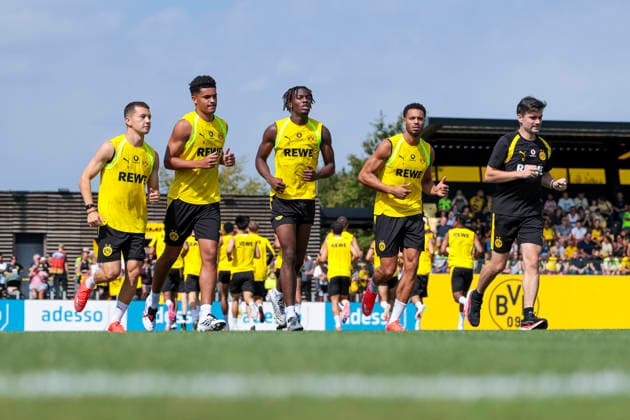 Football, Bundesliga 1, Borussia Dortmund, Training