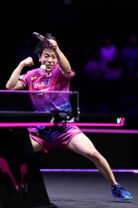 Hiroto Shinozuka (JPN), AUGUST 6, 2026 - Table tennis, Tischtennis : WTT Champions Yokohama 2026 Mens singles round of 16 at Yokohama BUNTAI, Kanagawa, Japan. Noxthirdxpartyxsales  aflo_340214299 KenxAsakurax