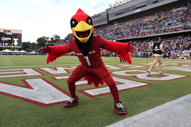 The Arizona Cardinals mascot posses for a photo in the endzone during the Cardinals preseason game against the Carolina Panthers at the Pro Football Hall of Fame Game in Canton, Ohio, on Thursday, August 6, 2026.  CAN20260806130 AARONxJOSEFCZYK