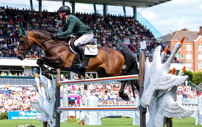 2026 Dublin Horse Show, Laya Arena, Dublin 7 8 2026 Daniel Coyle Daniel Coyle 7 8 2026  Copyright: xx DC73982 copy