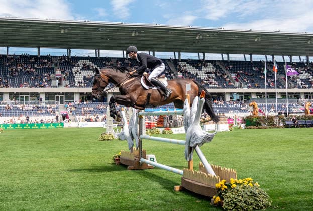 Equestrian sports, Dublin Horse Show, show jumping