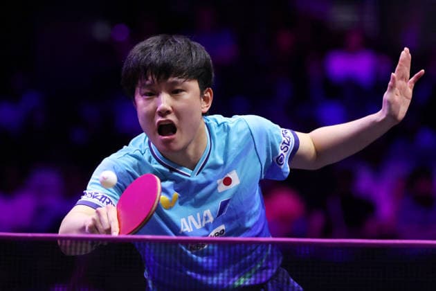 Tomokazu Harimoto (JPN), AUGUST 8, 2026 - Table tennis, Tischtennis : WTT Champions Yokohama 2026 Men s Singles Quarter-final at Yokohama BUNTAI, Kanagawa, Japan.  aflo_340374415 YUTAKAx