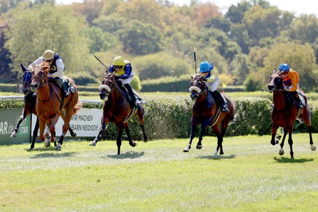 08.08.2026, Krefeld, Nordrhein-Westfalen, GER - Best Charming (links) mit Bauyrzhan Murzabayev gewinnt. Galopprennbahn Krefeld-Stadtwald. (Pferd, Jockey, Best Charming, Murzabayev, Sieg, Ziel, Zielankunft) 260808SG914KREFELD.JPG *** August 8, 2026, Krefeld, North Rhine-Westphalia, GER: Best Charming, ridden by Bauyrzhan Murzabayev, wins at the Krefeld Stadtwald Racetrack. Horse, jockey, Best Charming, Murzabayev, Victory, Finish, Finish Line 260808SG914KREFELD JPG