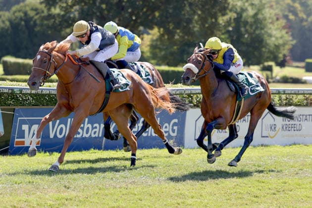 08.08.2026, Krefeld, Nordrhein-Westfalen, GER - Best Charming (links) mit Bauyrzhan Murzabayev gewinnt. Galopprennbahn Krefeld-Stadtwald. (Pferd, Jockey, Best Charming, Murzabayev, Sieg, Ziel, Zielankunft) 260808SG915KREFELD.JPG *** August 8, 2026, Krefeld, North Rhine-Westphalia, GER: Best Charming, ridden by Bauyrzhan Murzabayev, wins at the Krefeld Stadtwald Racetrack. Horse, jockey, Best Charming, Murzabayev, Victory, Finish, Finish Line 260808SG915KREFELD JPG